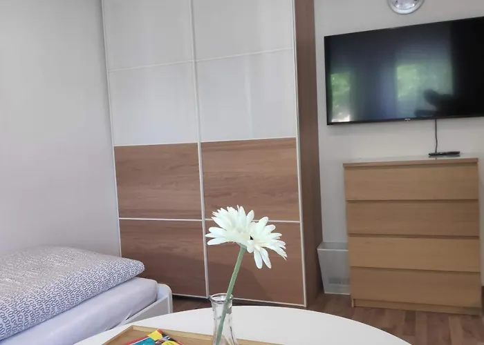 度假居 4-zimmer Haus In 莱比锡