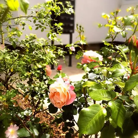 Feriehus 4-zimmer Haus In Leipzig