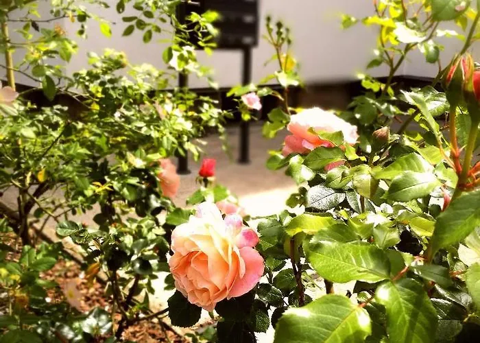 Dom wakacyjny 4-zimmer Haus In Lipsk